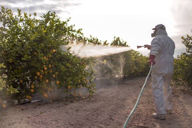 Best Pest Inspection Near Me  in Penn Yan, NY