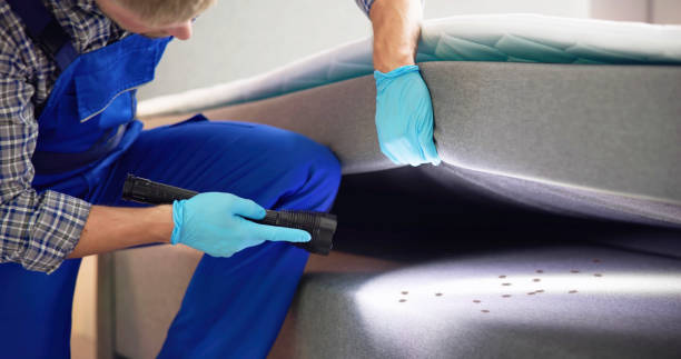 Best Commercial Pest Control Services  in Penn Yan, NY